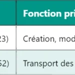 Local Area Code (LAC) dans le GSM : Définition, Fonction et Détails Techniques Local Area Code (LAC) dans le GSM : Définition, Fonction et Détails Techniques