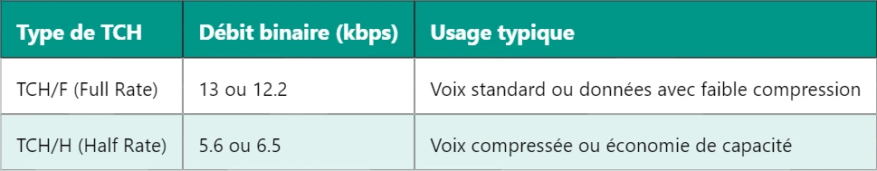 Pourquoi le canal TCH est-il crucial pour le transport de la voix et des données dans les réseaux cellulaires ?